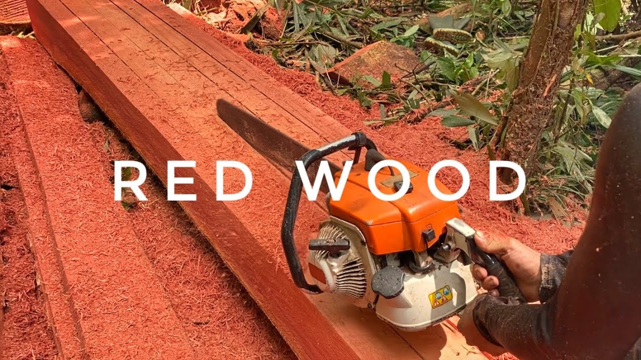 RAPI‼️ KUALITAS KAYU TERBAIK DIOLAH DENGAN MESIN CHAINSAW STIHL 070