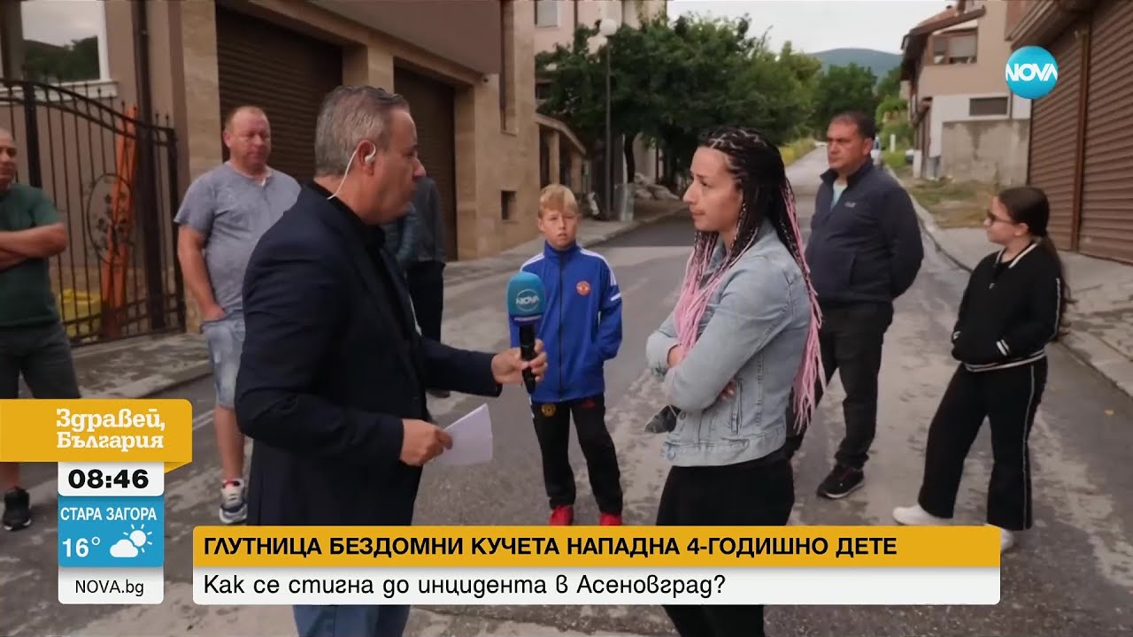 Глутница бездомни кучета нападна 4-годишно дете в Асеновград - Здравей, България (30.06.2023)