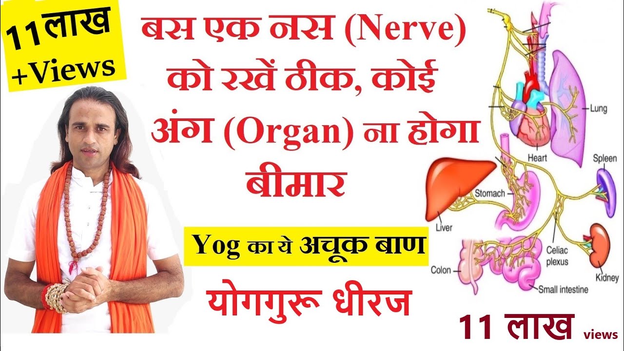 एक Vagus Nerve देगा Complete Health | Yoga Science for Physical Mental  Wellness | Yogaguru Dheeraj