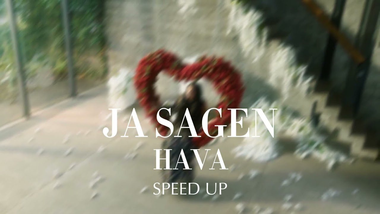 HAVA - JA SAGEN (SPEED UP) #speedupsongs #hava