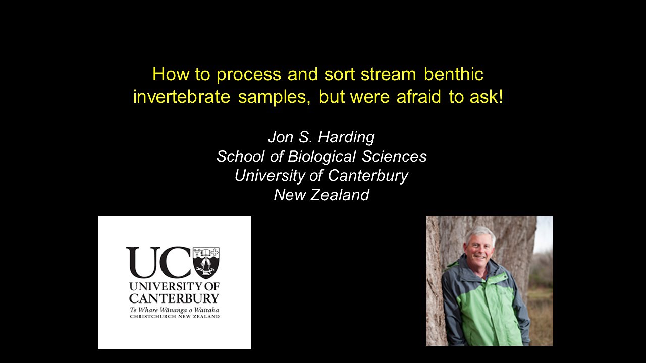 How to pick and sort a benthic invertebrate sample in the field and in the laboratory