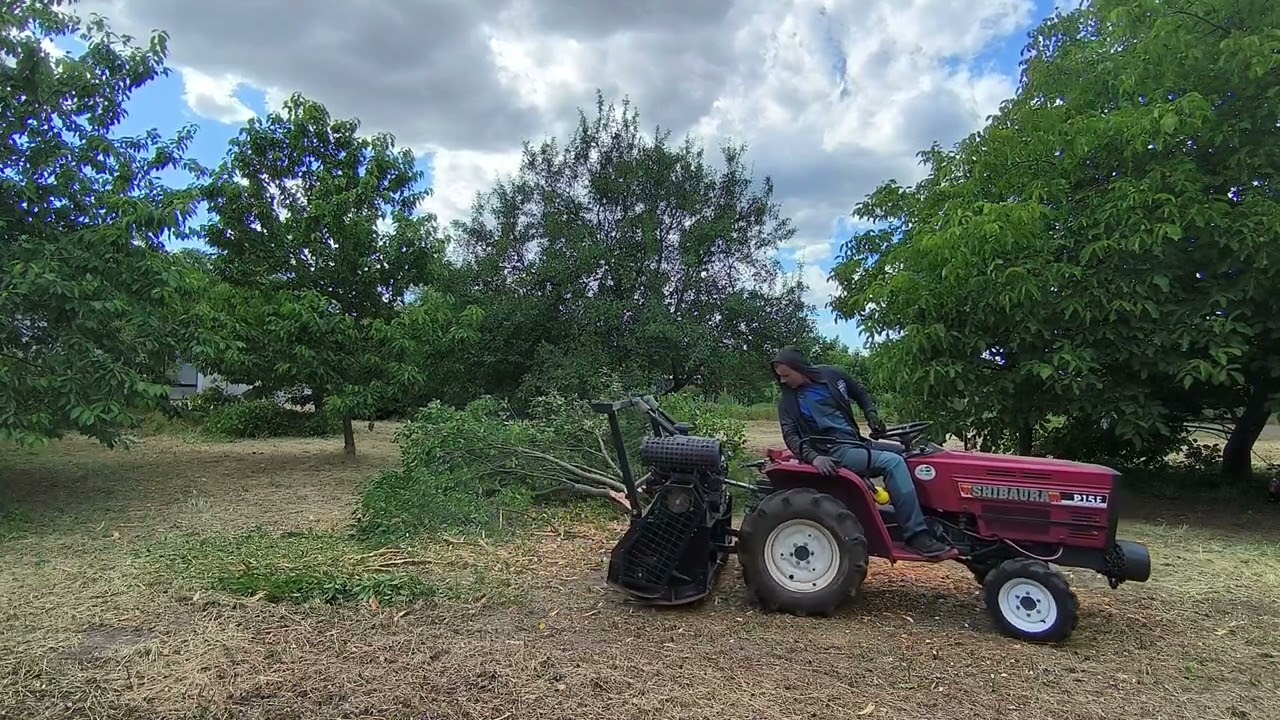 Mulching a fairly large tree
