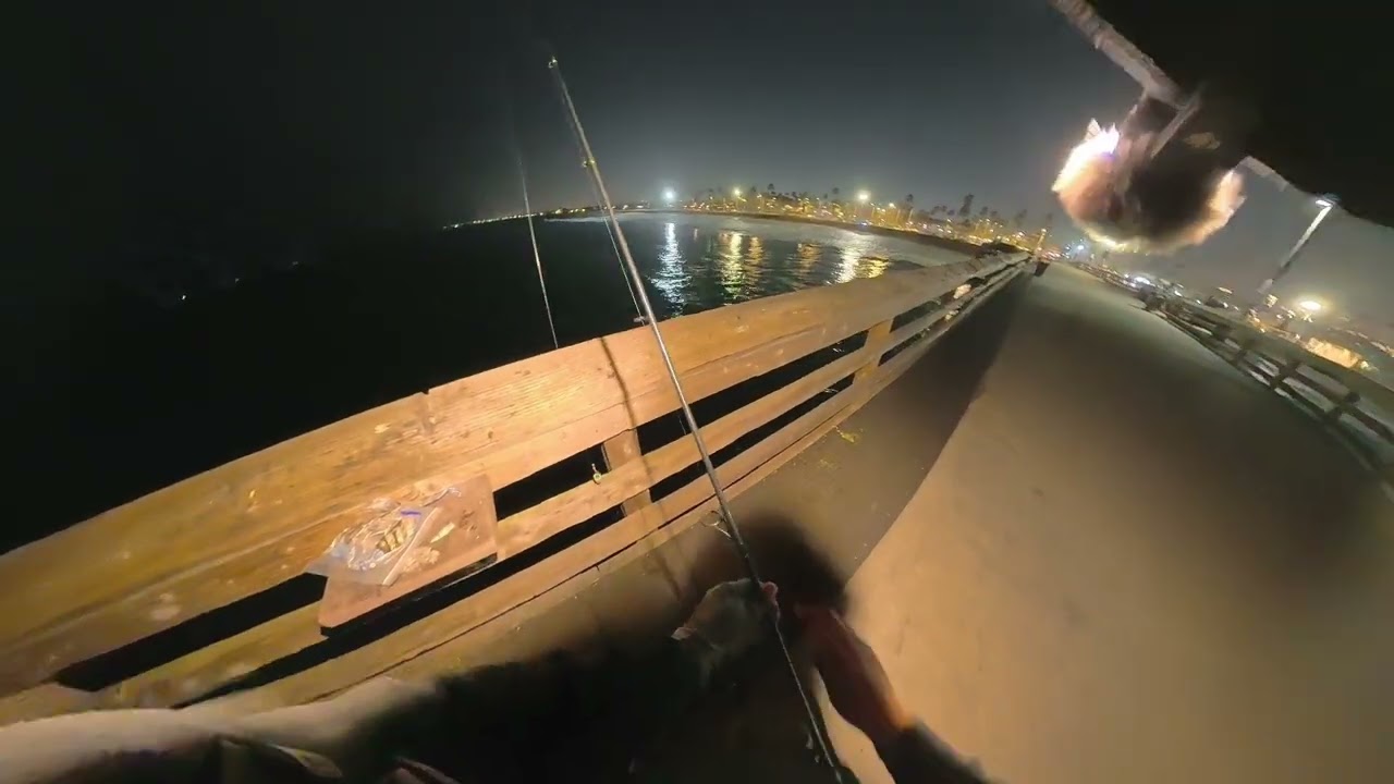 Night Fishing Newport Beach