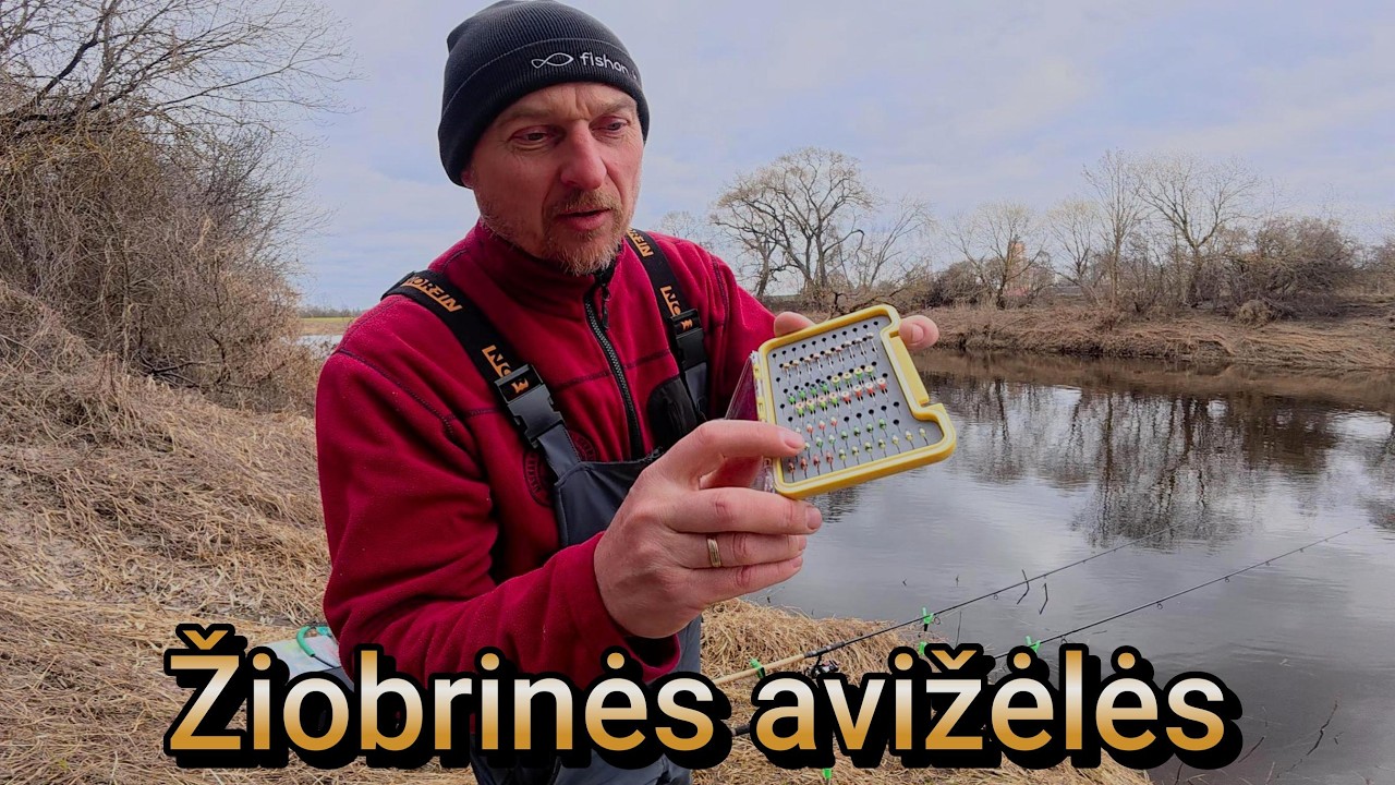 I&scaron;bandžiau avižėles  žiobrių žvejybai. Žūklė feederiu upėje. Norėjau ''nu&scaron;auti du zuikius''...