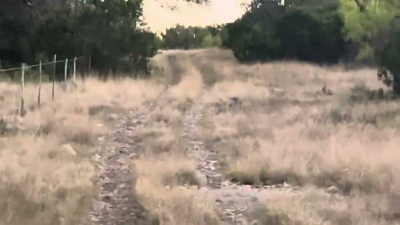 Random song… perfect timing! It’s deer season but Spring turkey season is on the way. 