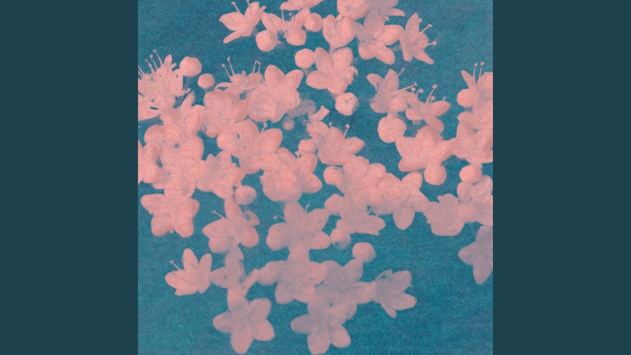 Forget-Me-Not
