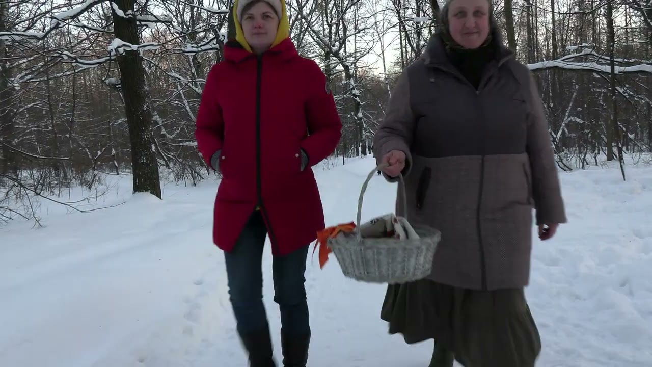 Чем подкармливать птиц зимой? 