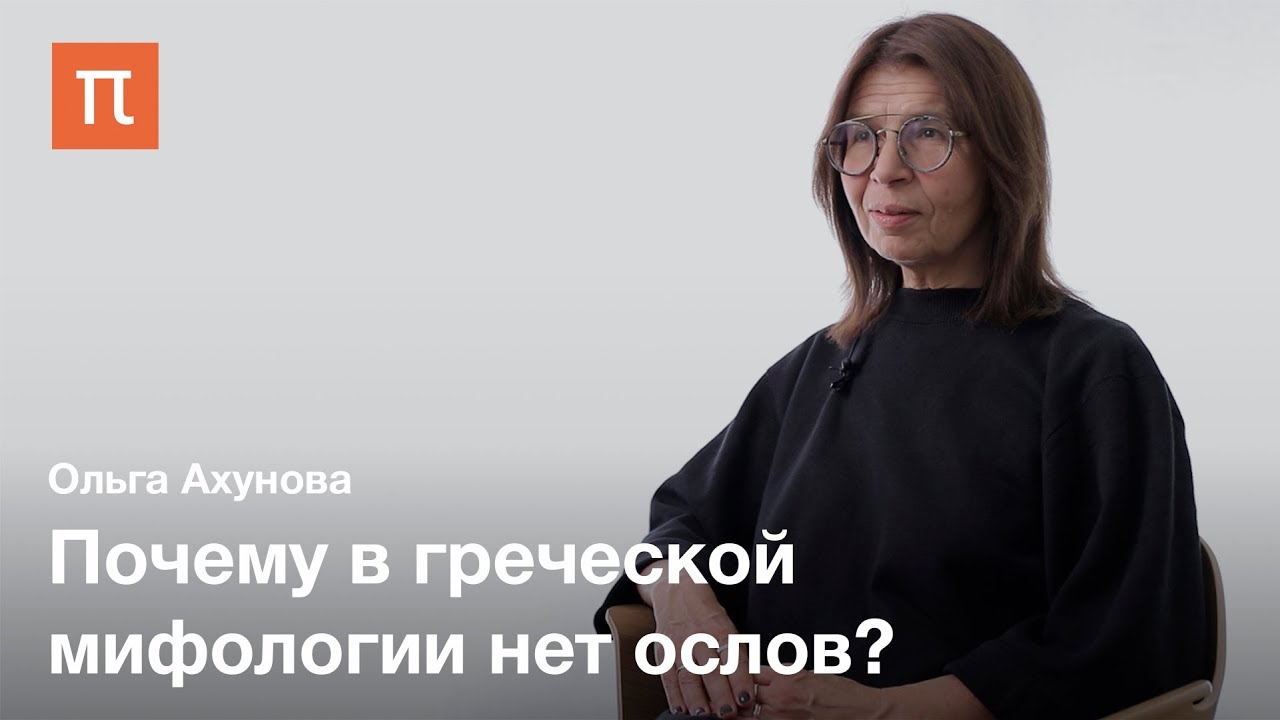 История сюжета романа «Метаморфозы, или Золотой осел» — Ольга Ахунова