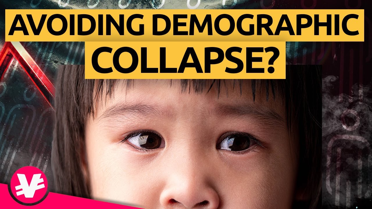 Is It Impossible to STOP the Demographic COLLAPSE? @visualeconomiken