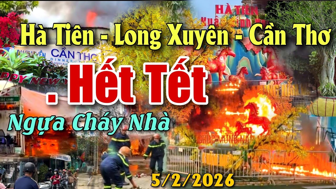 CHỢ HOA CẦN THƠ 2026 CHÁY LINH VẬT NGỰA HÀ TIÊN LONG XUYÊN MƯA MAI NỞ SỚM DÂN TRẮNG TAY TRƯỚC TẾT