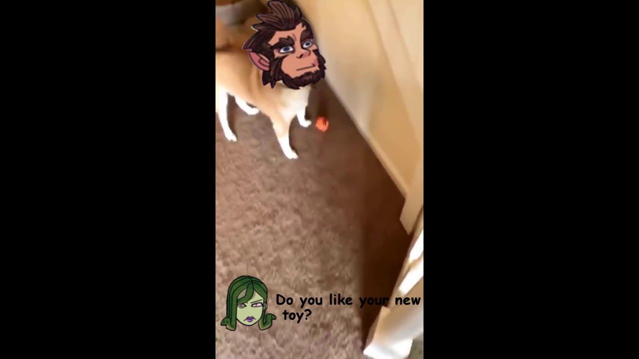 So what is it like to own a Scott? | Monster Prom Meme