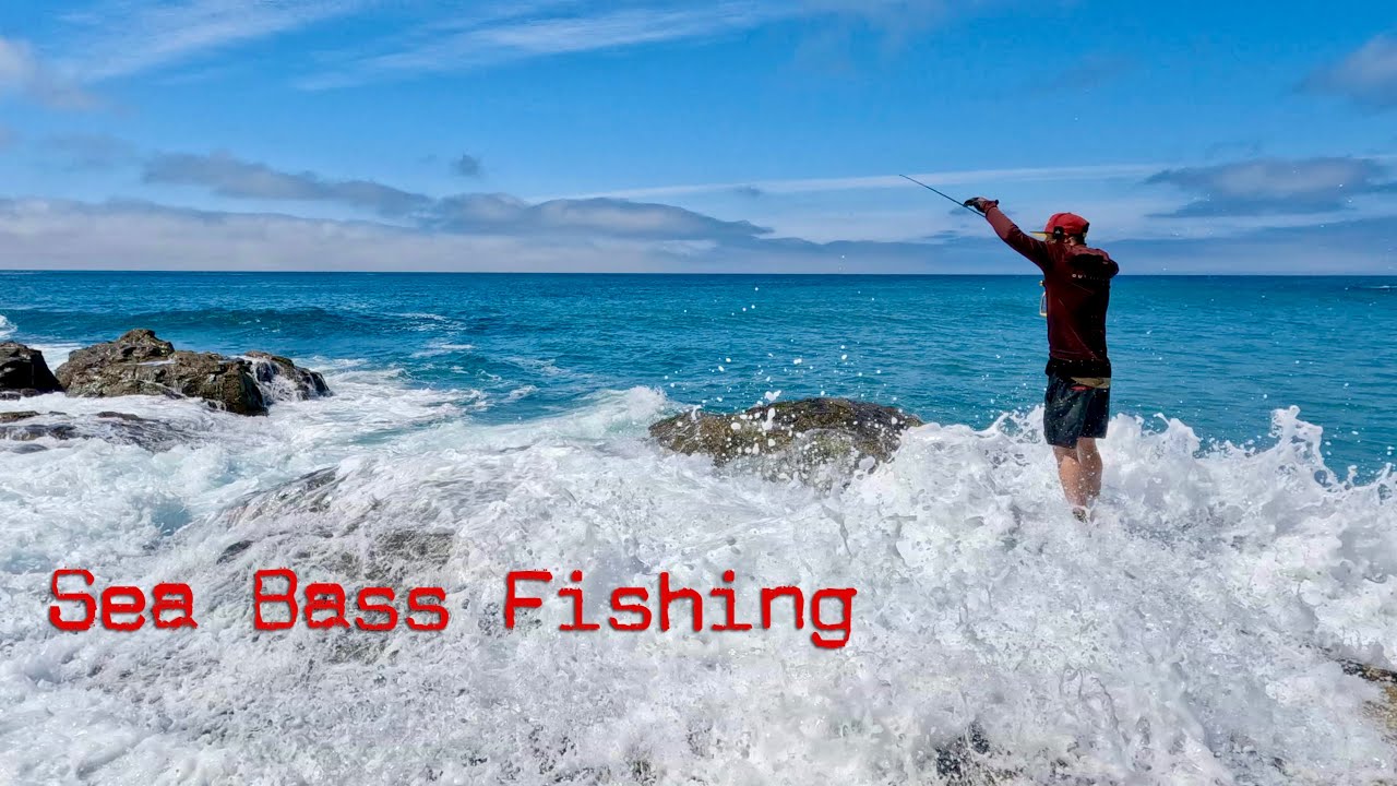 My Sea Bass Fishing Got People Worried | Out For A Cast #seabassfishing