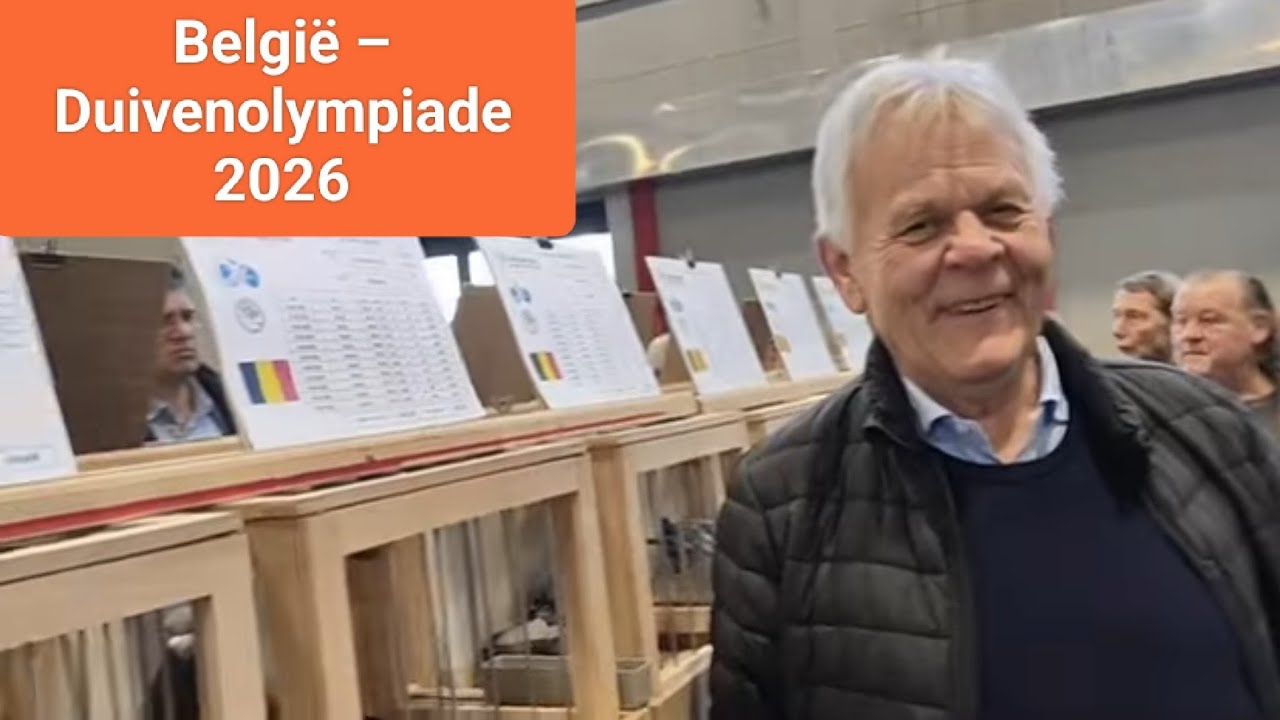 Reprezentacja Belgii 🇧🇪.Belgique – Olympiade des pigeons. Belgien – Taubenolympiade Dortmund 2026.