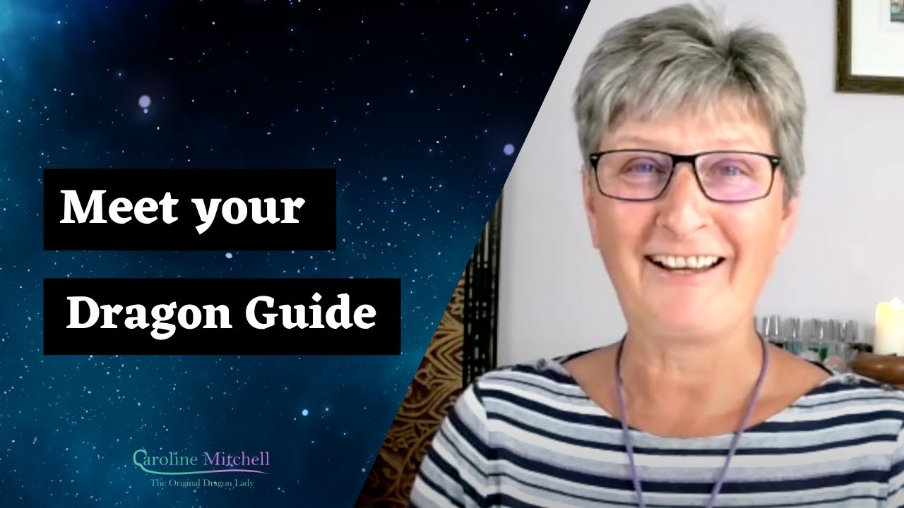 Meet Your Dragon Guide