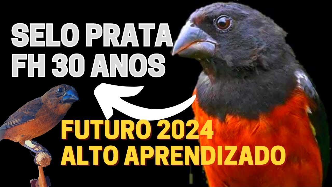 SELO PRATA FH 30 ANOS FUTURO.... MIDIA QUE JA ENCARTOU E VETORIZOU MUITOS PARDOS DE QUALIDADE...