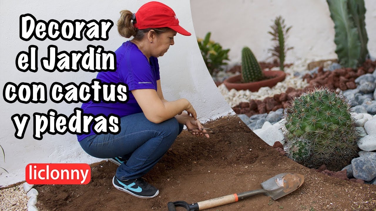 #Jardinería. ¿Cómo decorar el jardín con cactus y piedras? Idea paso a paso. liclonny