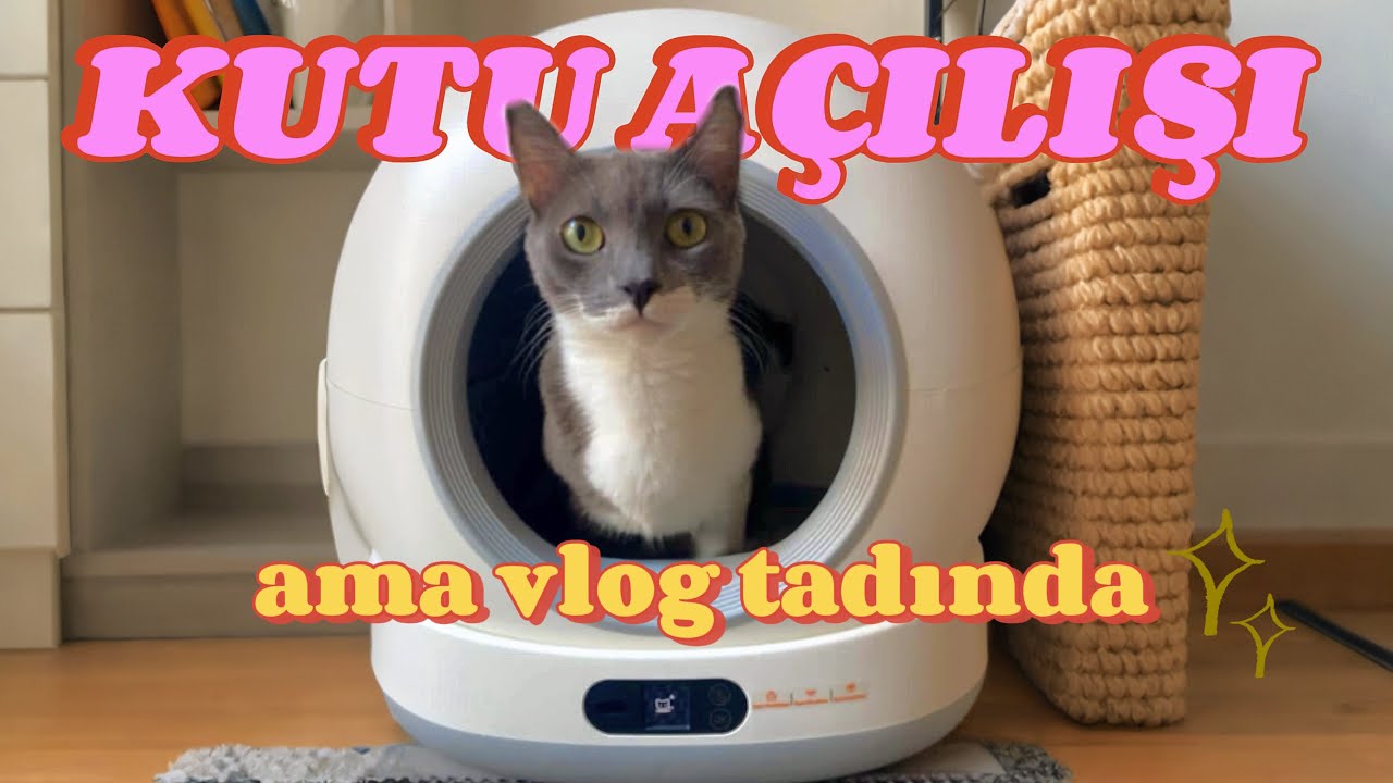OTOMATİK KEDİ TUVALETİ ALINIR MI?