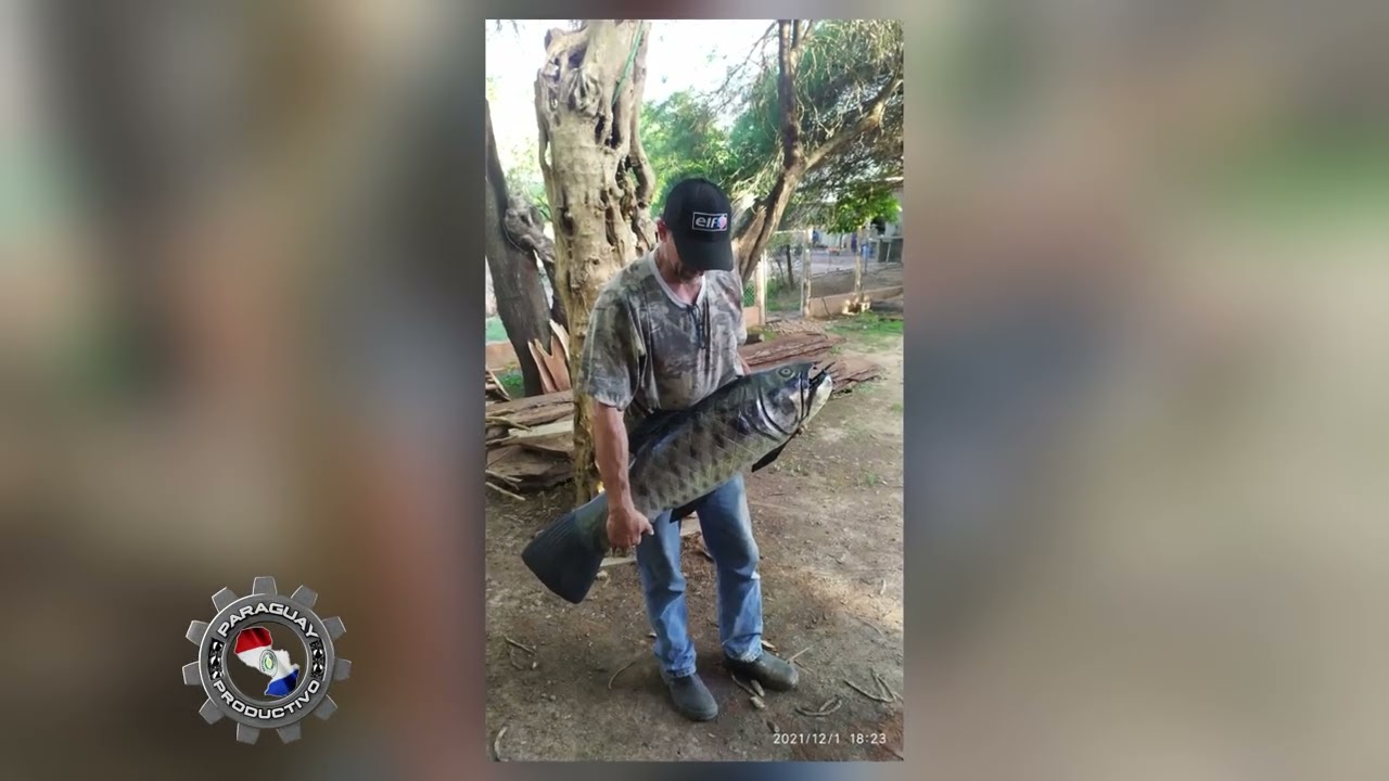 Paraguay Productivo en Ansch Artes Parte 3