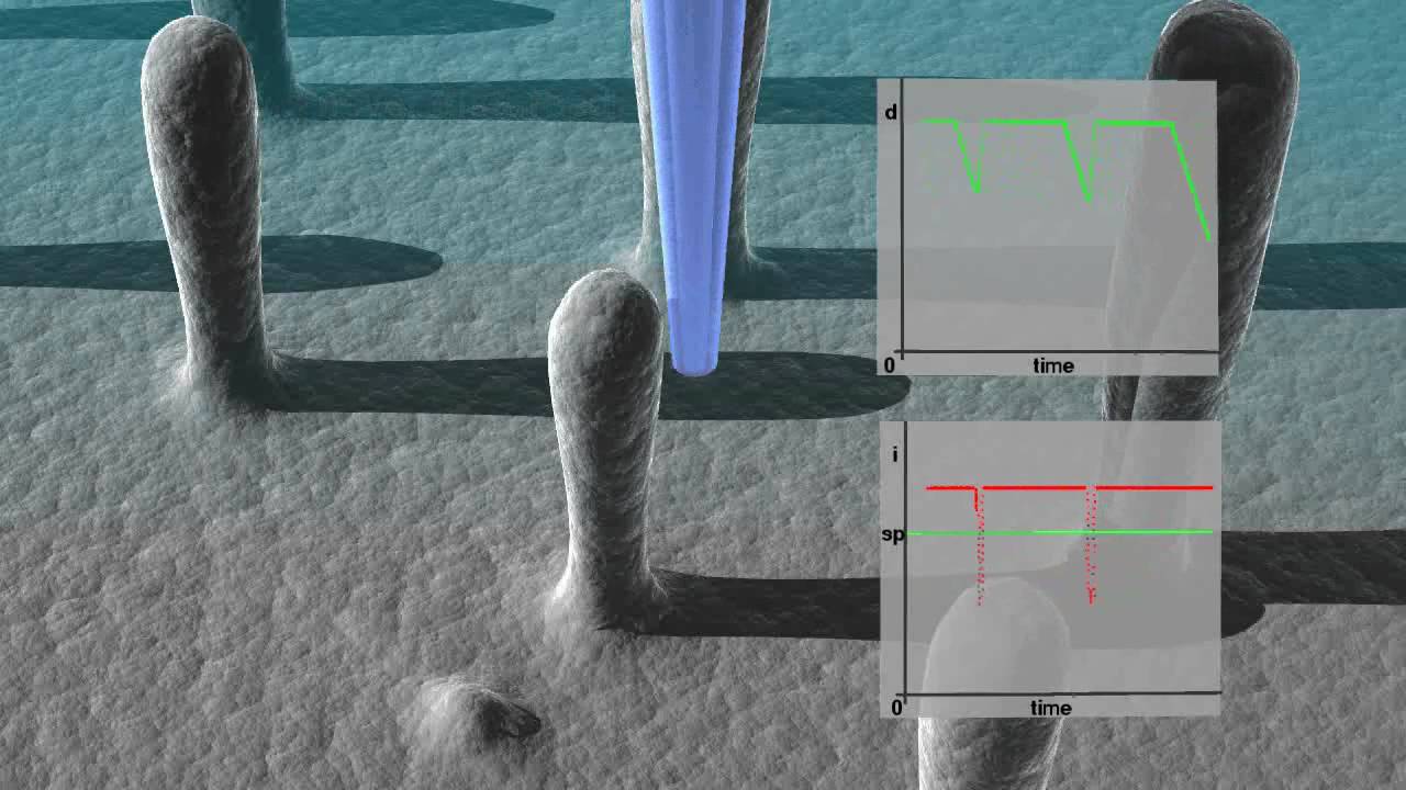 Ionscope: SICM operating in hopping scan mode