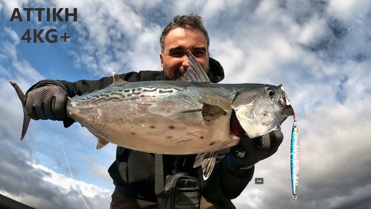 Ντάσκα 4kg+ στην Αττική