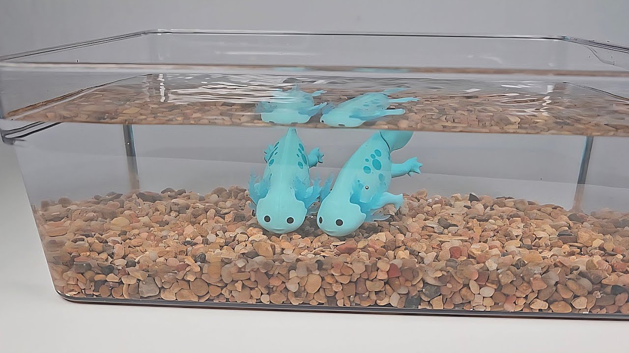 Zuru Pets Alive Swimming Axolotls 