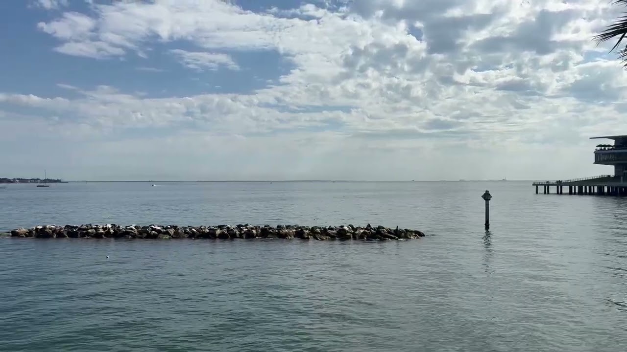 St.Pete Pier Florida