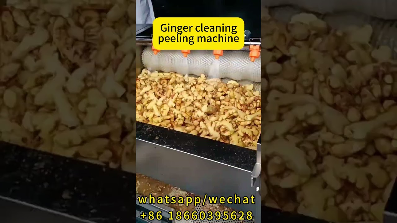 Ginger Cleaning and Peeling Machine for Wholesale Suppliers | High-Efficiency Factory Equipment