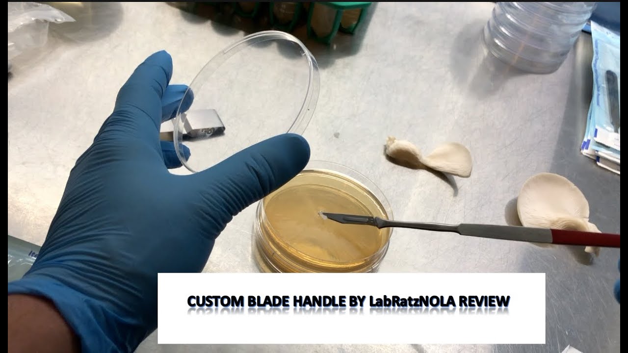 Cloning a Summer Oyster Mushroom with LabRatzNOLA custom blade handle