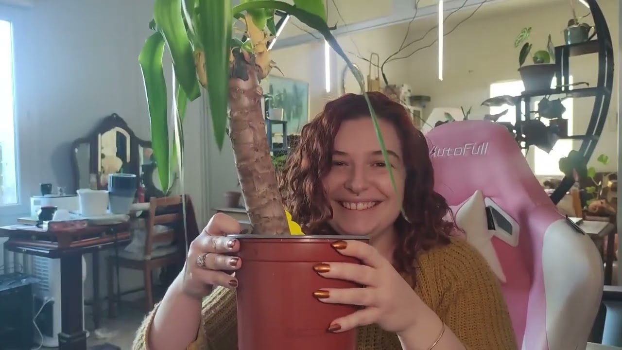 Les plantes qui ont survécu !!! Les plantes les plus résistantes.