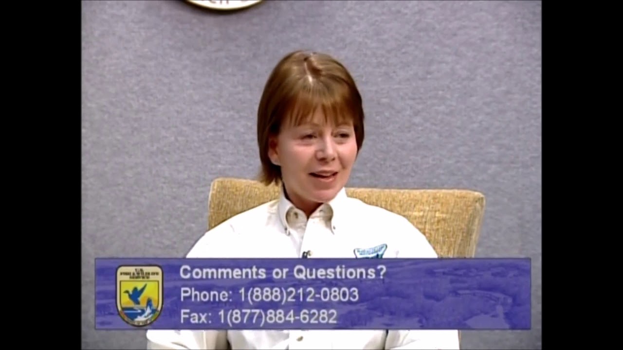 Jinx Fox interview&ndash; BLM's Wild Horse and Burro Adoption Program (USFWS)