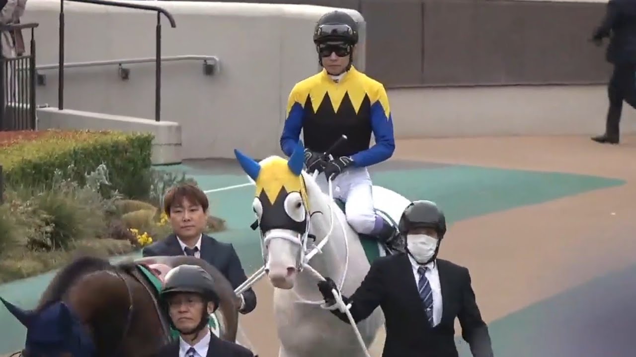 【マルガ号（武豊騎手）クイーンカップパドック】2026年2月14日（土）東京競馬場