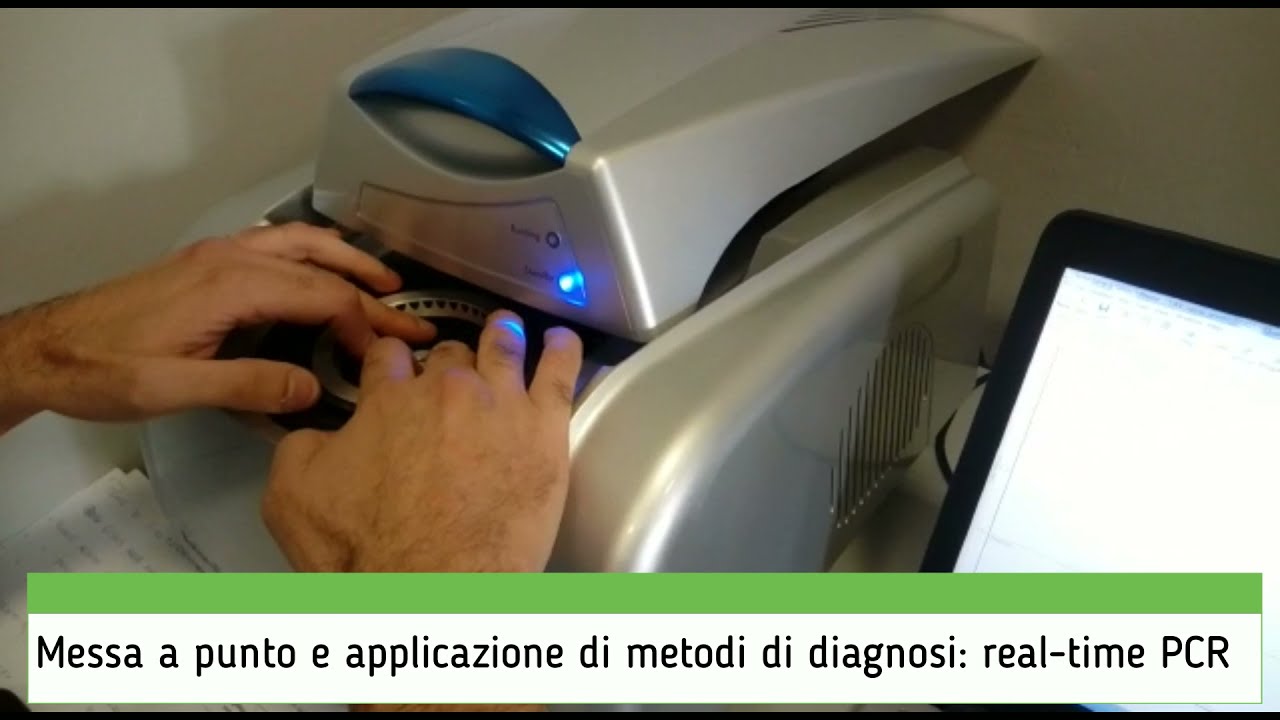 Laboratori Patologia Vegetale