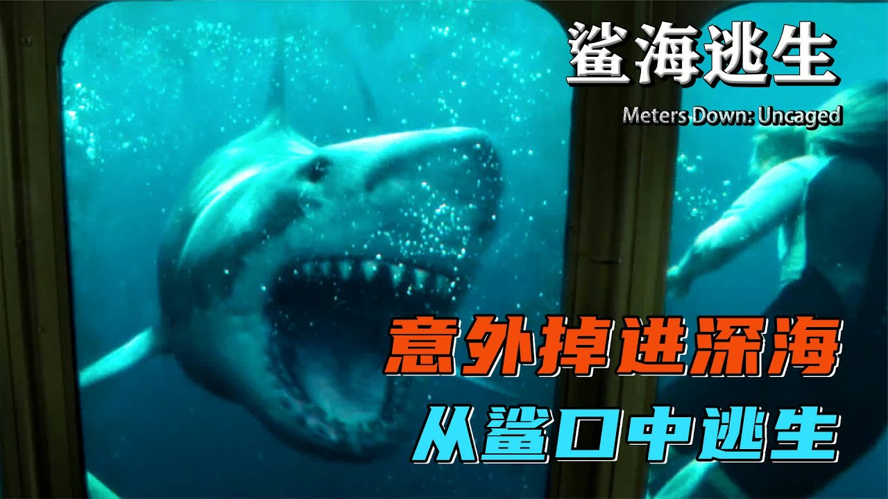 在此输出主题 海底惊魂，四姐妹遇变异鲨 #变异鲨鱼 #深海惊魂 #四姐妹 #求刺激 #惊险逃生