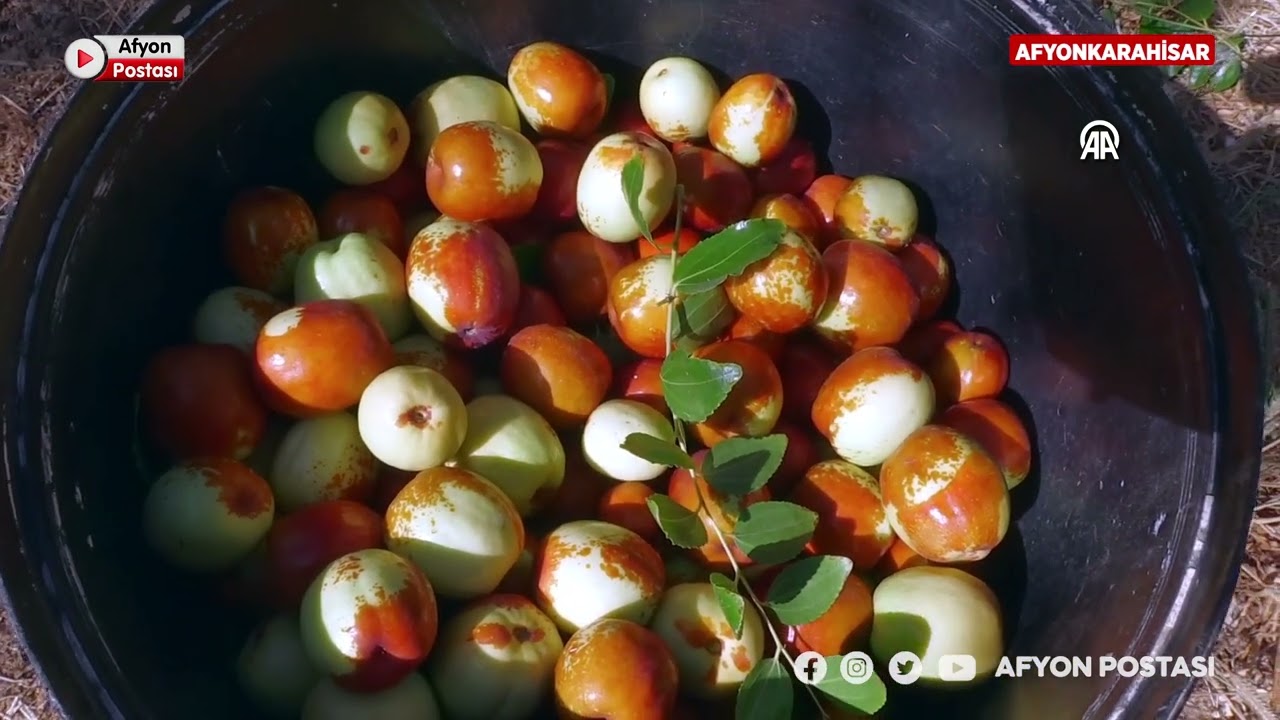 Emekli öğretmen çift hünnap üretimi yapıyor: Ölümden başka her şeye iyi geliyor