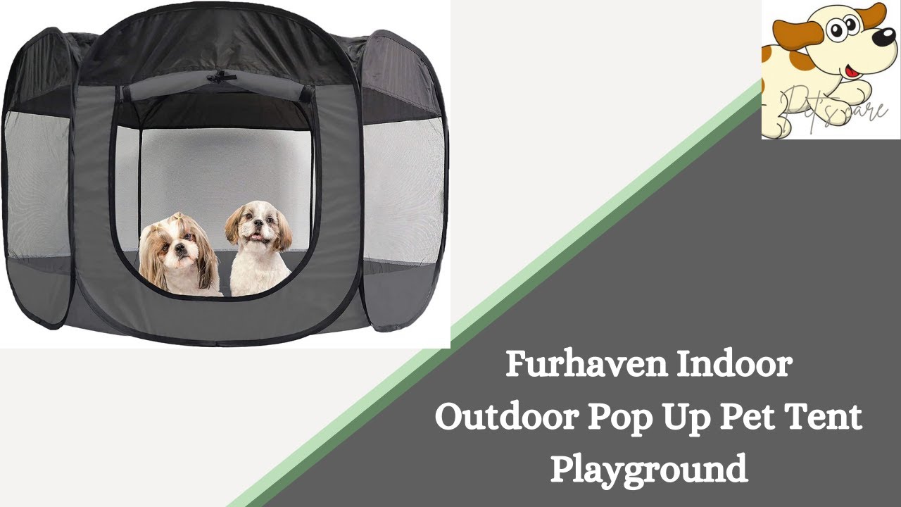 Pet Tent Playground | Dog Tent Bed | Pop Up Dog Tent | 2 dog dog house|  #shorts