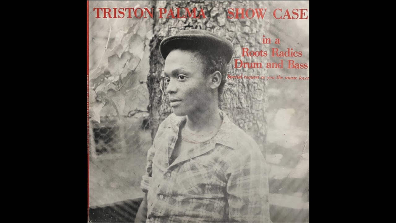 Tristan Palmer - Girl I Love - Rub A Dub Version Excursion Remix