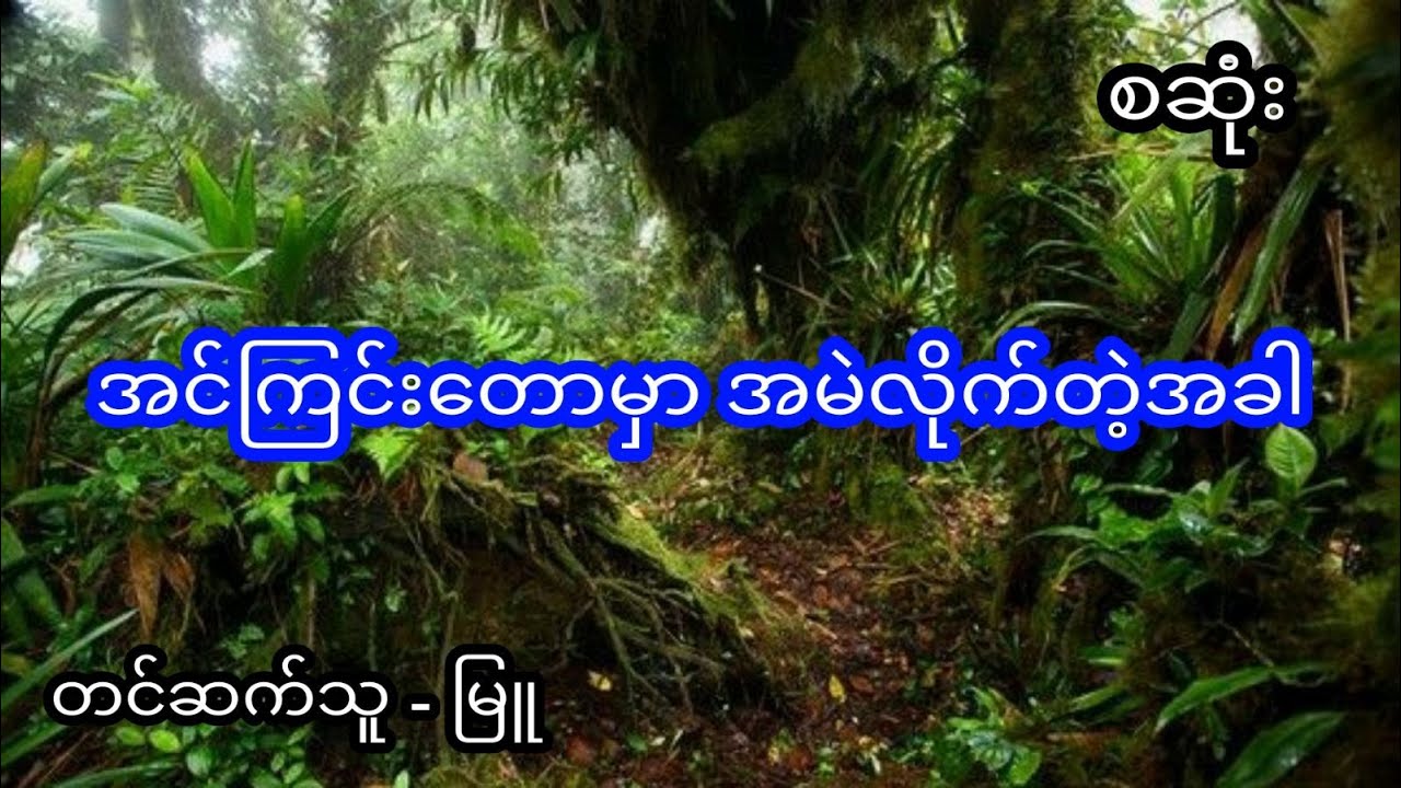 အင်ကြင်တောမှာအမဲလိုက်သောအခါ - စဆုံး