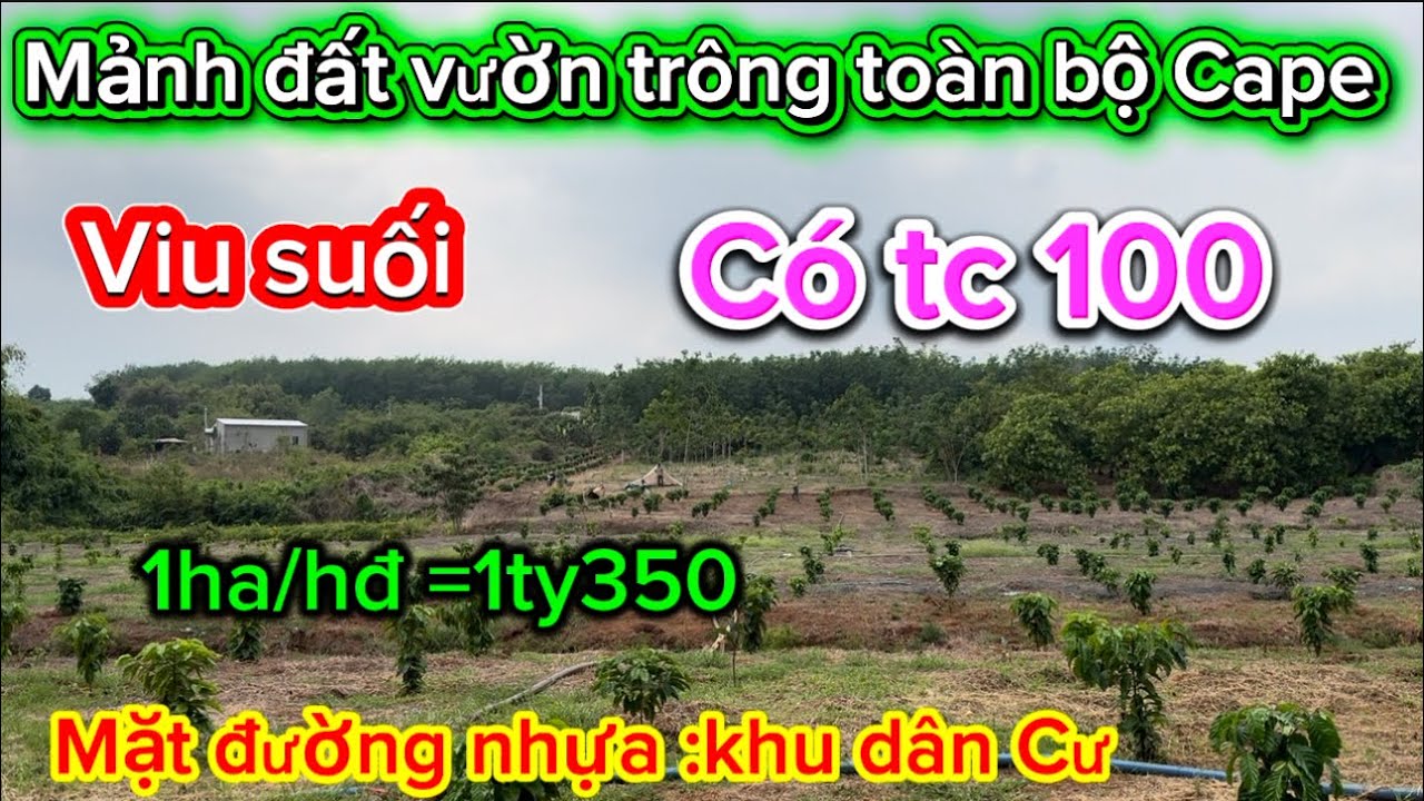 Mảnh đất vườn mặt tiền nhựa giá rẻ 