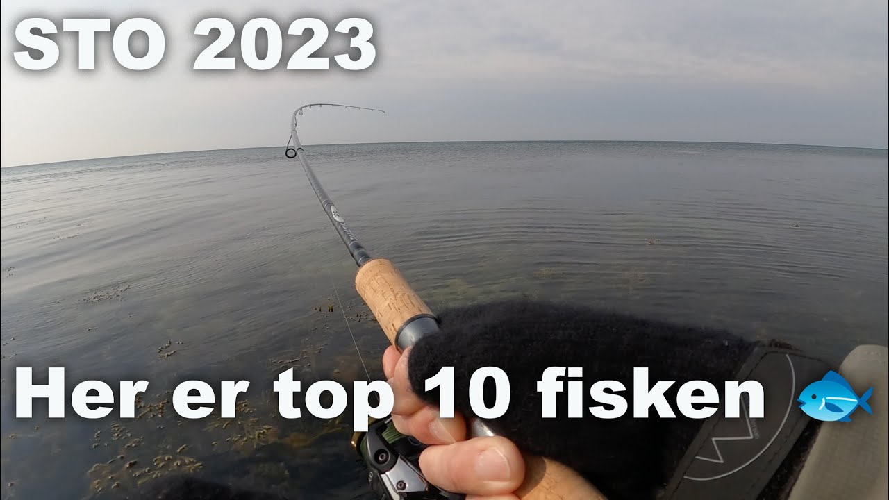 STO 🐟 Seatrout Open 2023 🎣 dag 2 ☀️ Havørred Fiskeri