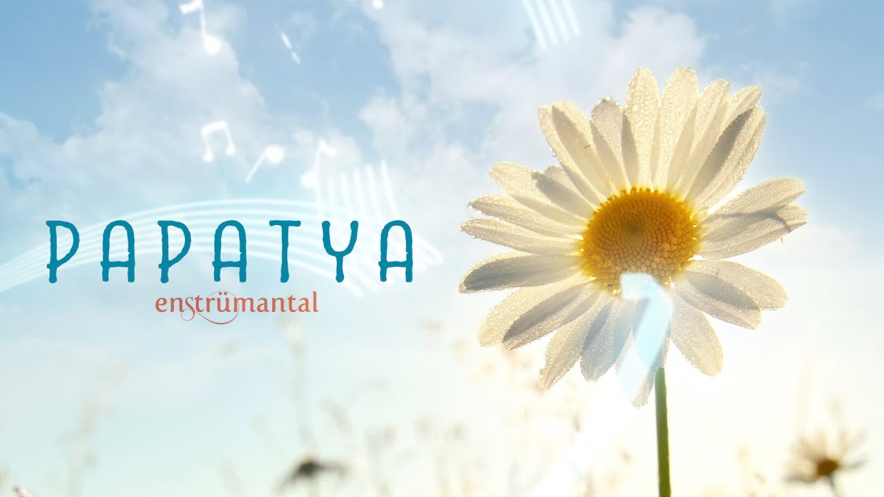 PAPATYA ♫ Fon M&uuml;ziği (Instrumental)