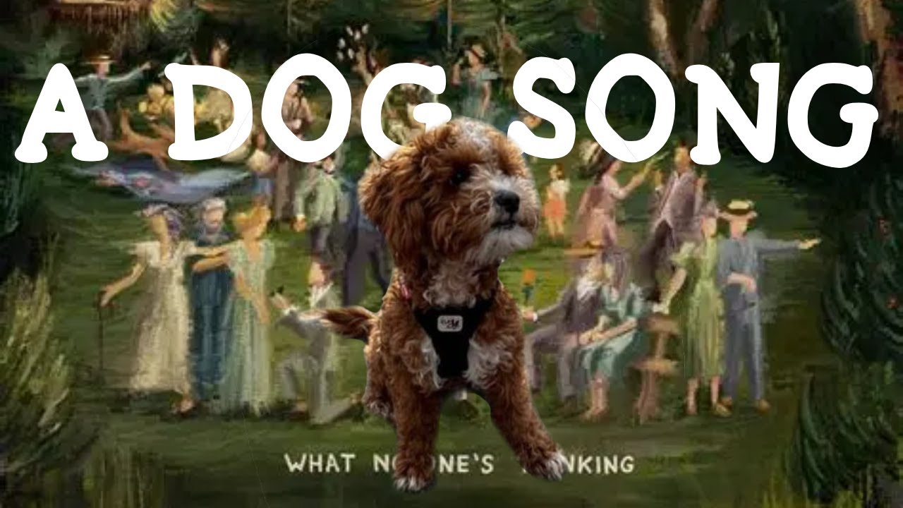 AJR - A Dog Song Music Video | What No One's Thinking