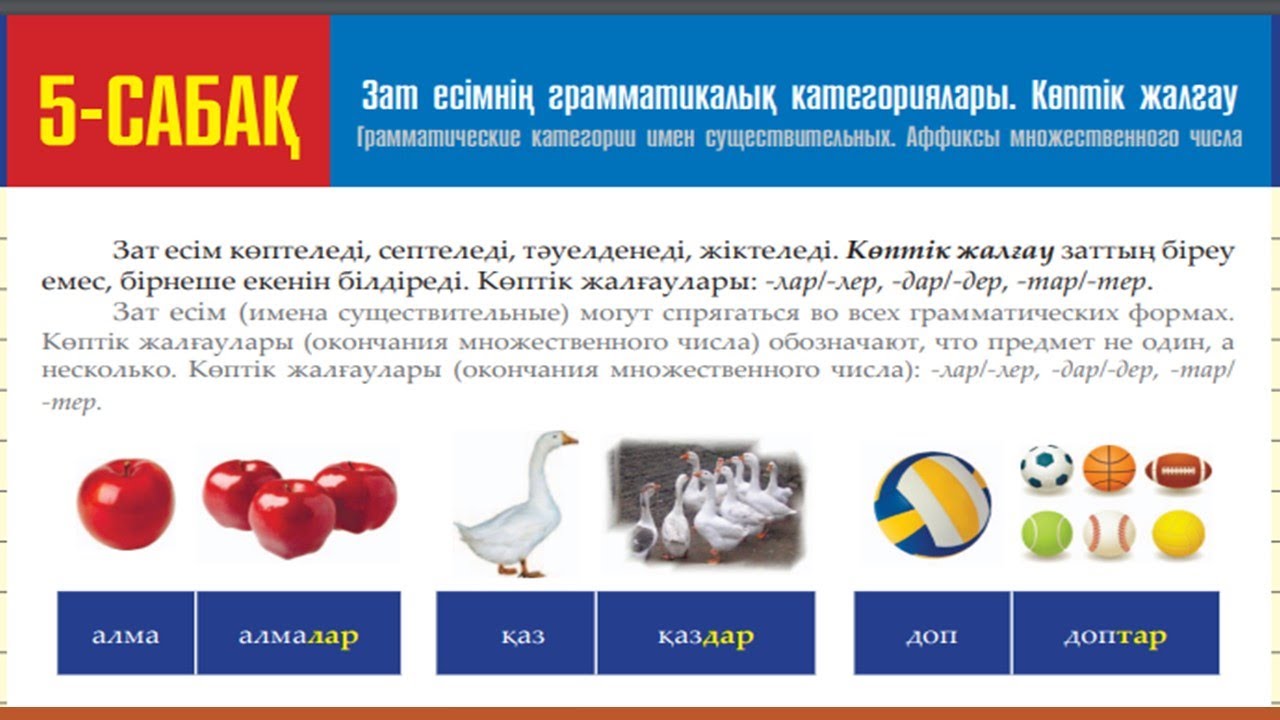 КӨПТІК ЖАЛҒАУЫ. Грамматические категории имен существительных. Аффиксы множественного числа