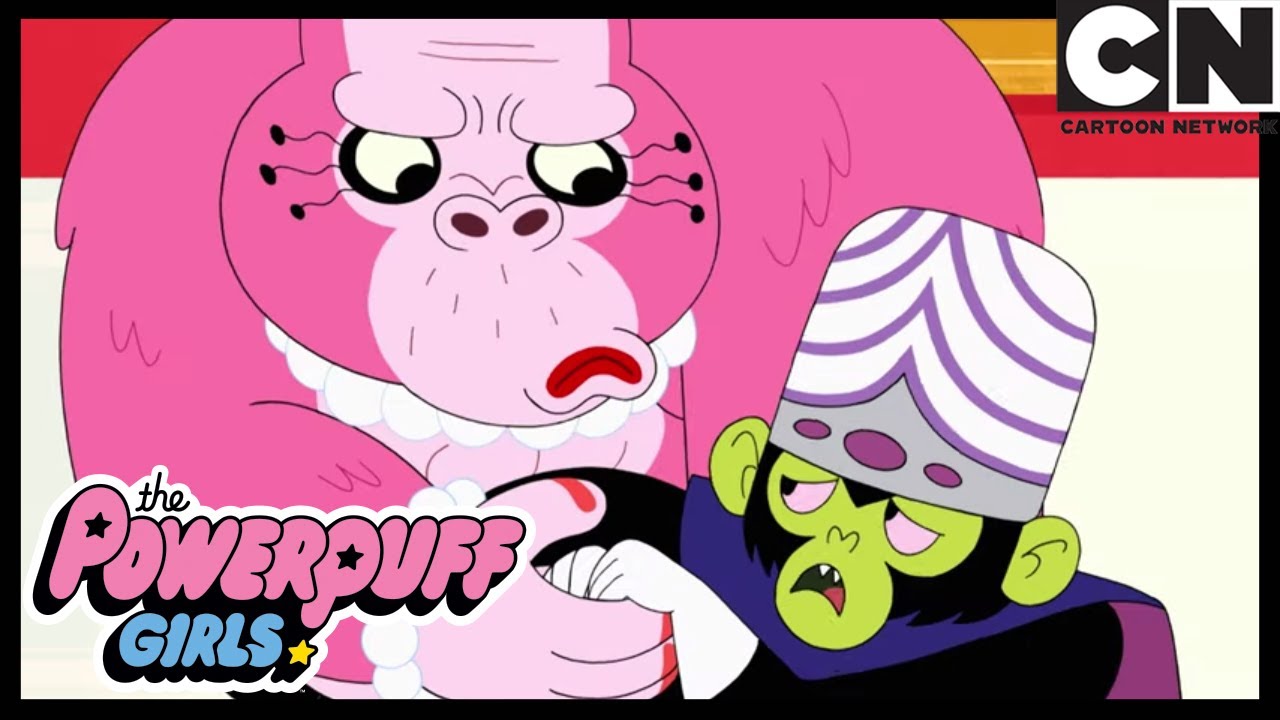 Örümcek maymunu | Powerpuff Girls Türkçe | çizgi film | Cartoon Network