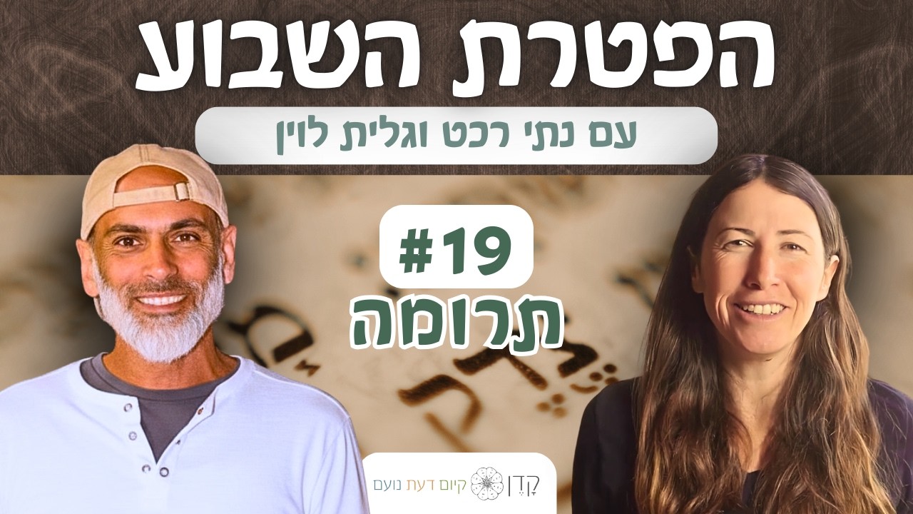 הפטרת תרומה: לבנות בית להשם או לבנות מקום בתוכנו? | הפטרת השבוע #19