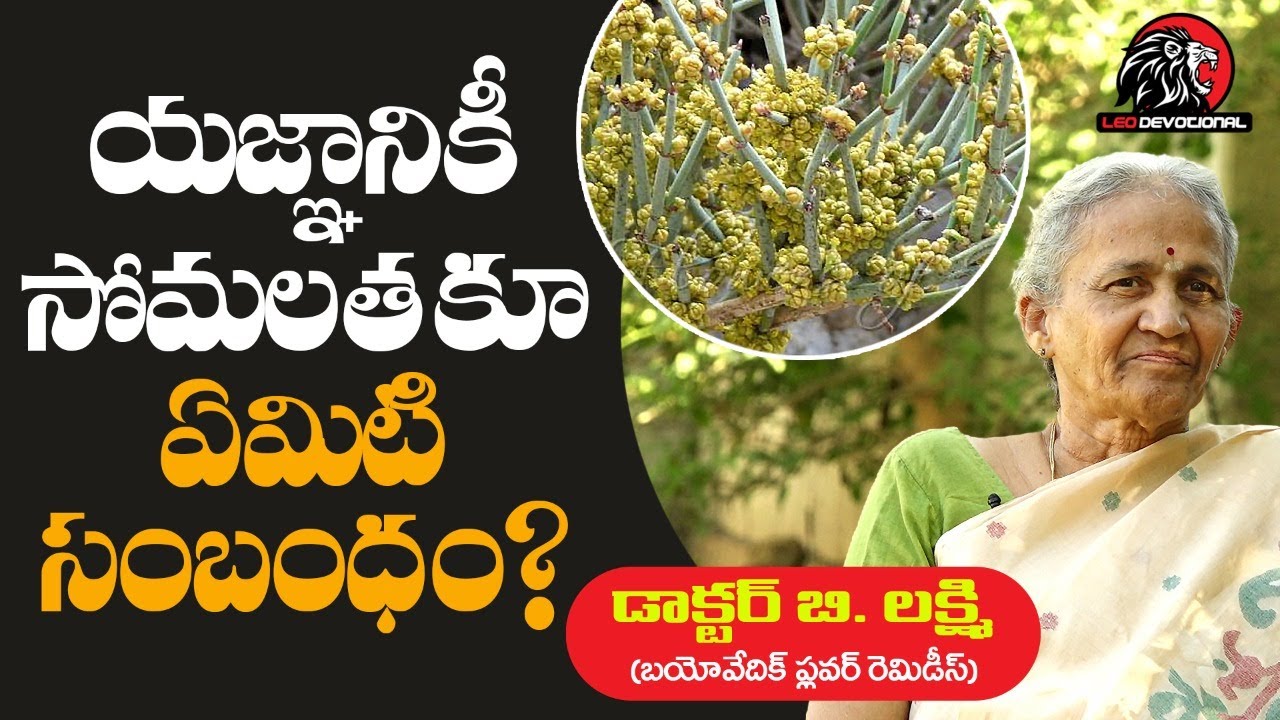 Unknown Facts Of Somalatha Plant | Bharatheeyam Satyavani Interview | Telugu Videos | Leo Devotional