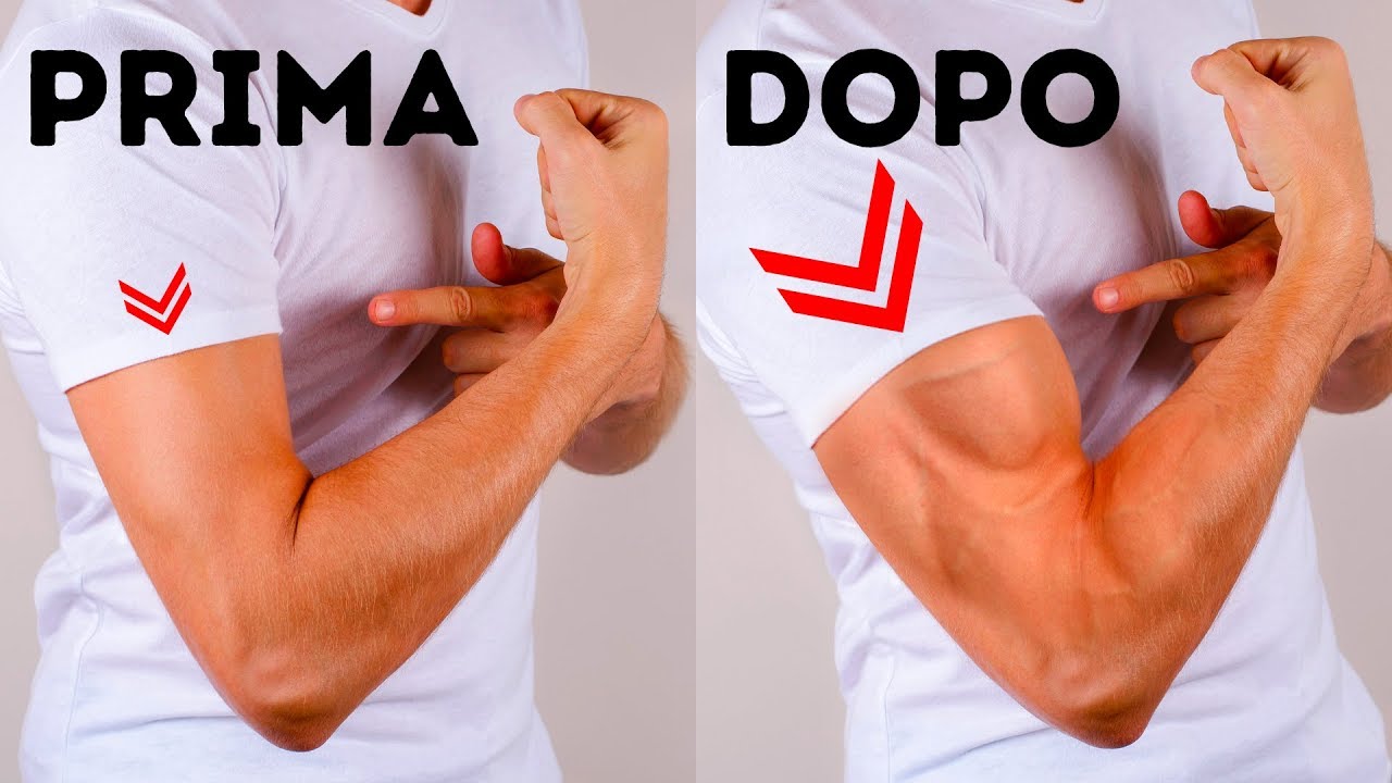 6 Esercizi Facili per Avere Braccia Muscolose Senza Palestra