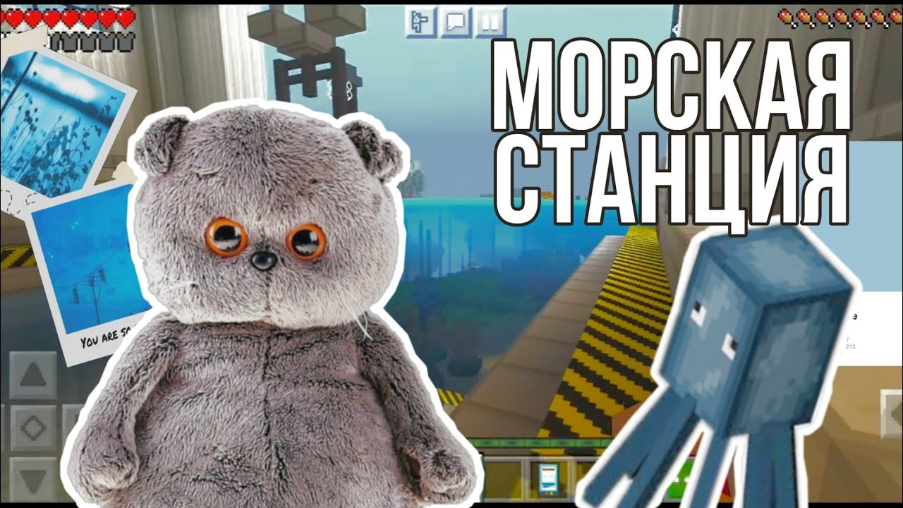 Басик-моркой биолог|ИЗУЧАЕТ МОРСКОУЮ СТАНЦИЮ