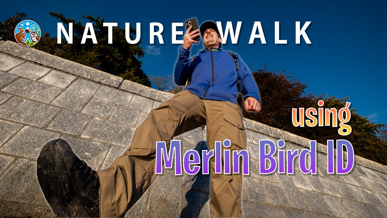 Nature walk using Merlin Bird ID in Stanley Park