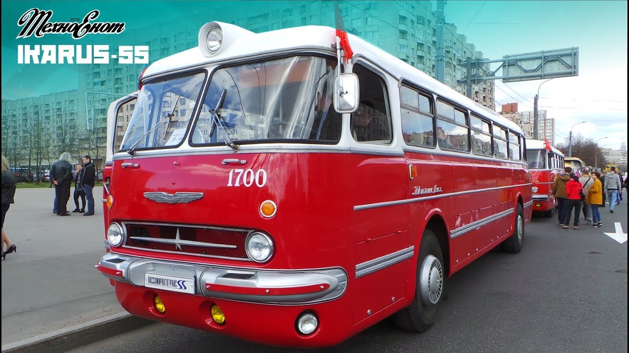 Ikarus-55 (Участники V парада ретро транспорта 2019 СПб)