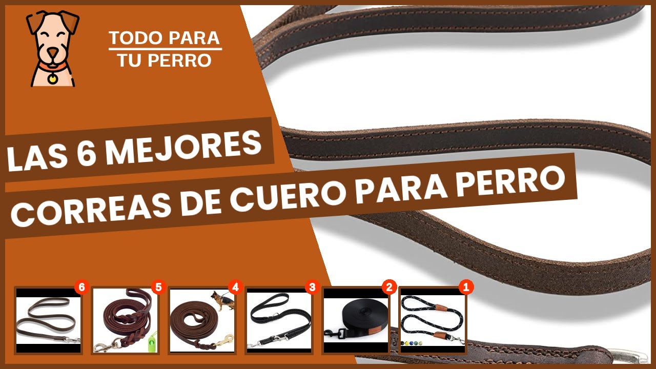Las 6 mejores correas de cuero para perro